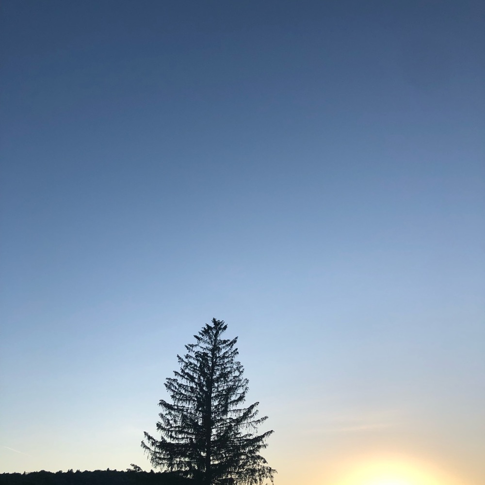 Meet your Posher, Karsen